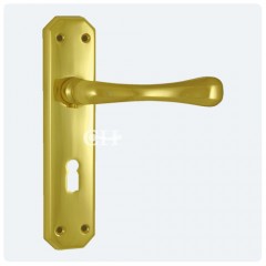 eden brass lock lever handles on backplate