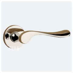 polished nickel lever handles