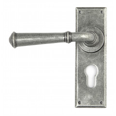 Regency Lever Handles On Euro Backplate in Pewter