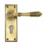 Anvil Regency Reeded Lever Handles On Euro Backplate