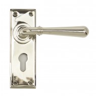 Anvil Regency Nickel Newbury Lever Handles Euro Backplate