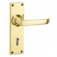 Polished Brass Lock Backplate