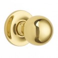 Polished Brass Plain Rose A