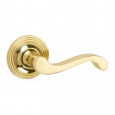 Polished Brass Rose C