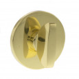 Raw Polished Brass