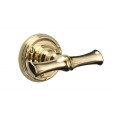 Polished Brass