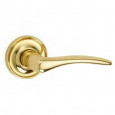 Polished Brass Rose B