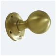 Satin Brass