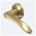 Satin Brass  Rose B