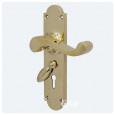Polished Brass With Teardrop Escutcheon