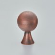 Autumn Bronze