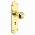 Polished Brass On Keyhole Backplate
