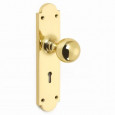 Polished Brass On Keyhole Backplate