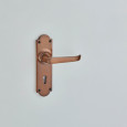 IBMA Bronze