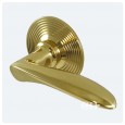 Polished Brass Unlacquered