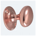 Polished Copper