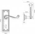 Large Backplate Dimensions