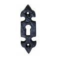 black antique escutcheon