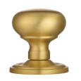 Satin Brass
