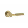 Satin Brass