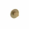 Satin Brass