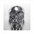 Skull detail without crystals Polished Aluminium