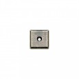 white bronze medium rose