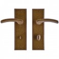 backplate with lever option