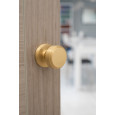 Satin Brass Fitted