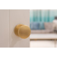 Satin Brass Fitted