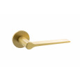 Satin Brass