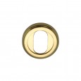 polished brass oval profile