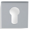 Polished Chrome