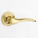 Oxford Lever On Rose in Brass Bronze Chrome Nickel 