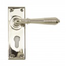 Anvil Regency Nickel Reeded Lever Handles On Euro Backplate