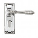 Anvil Regency Chrome Reeded Lever Handles On Euro Backplate