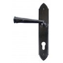 Gothic Lever Handles Multi Point Espagnolette Backplate External Black