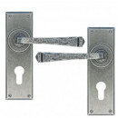 Avon Lever Handles on Euro Lock Backplate Pewter