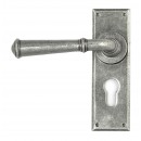 Regency Lever Handles On Euro Backplate in Pewter