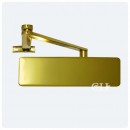 Geze TS2000 Medium Duty Brass Overhead Door Closer