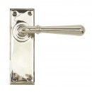 Anvil Regency Nickel Newbury Lever Handles Plain Backplate