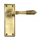 Anvil Regency Reeded Lever Handles On Plain Backplate